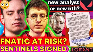 Sentinels SIGN New 5th, Fnatic Positive Test AGAIN for Masters?! ???? VALORANT News