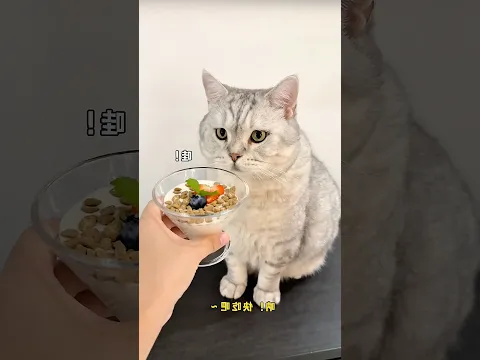 Oreo makanannya enak banget 🤤
