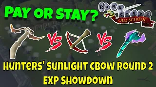 Pay or Stay Hunter Sunlight vs Dragon CBow vs Toxic Blowpipe OSRS NMZ