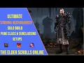 Best Stamina Necromancer Solo Build for ESO Update 49 - Pure Class and Subclassing