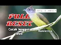 Download Lagu JENGGOT JAWA FULL BESETAN‼️jeda 3 menit AUDIO HD