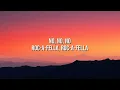 Fatboy Slim & The Rolling Stones - Satisfaction Skank (Lyrics)