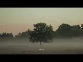 sød ven - carry me home (reimagined)