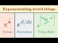 Can we exponentiate Vector fields What is exp Lie groups algebras brackets