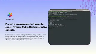 I m not a programmer but want to code - Python Ruby Bash interactive console
