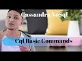 Cassandra Tutorial CQL Commands in 5 min - Apache cassandra CLI