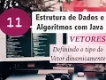 Data Structures and Algorithms with Java Vectors and Arrays Dynamically Configuring Types