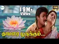 Download Lagu Thamarai Poovukum ||தாமரை பூவுக்கும் ||Sujatha Mohan, Krishnachandar || H D Love Song