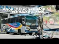 Download Lagu [ RANDOM NAIK SUGENG RAHAYU MALAH DILUAR DUGAAN  !] Armada Full Original Trip SR 7184 UY ke Surabaya