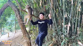 Dad feels happy playing with Monkey Kaka together.