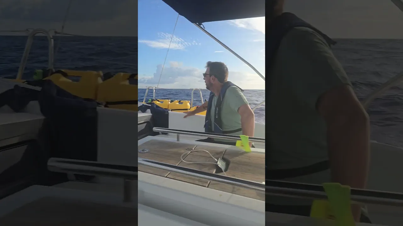 winning the sailong race