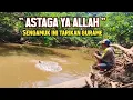 Download Lagu Menemukan spot ikan gurame..!! Pemancing tak henti-hentinya berdatangan demi tarikanya