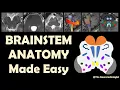 Anatomy of the Brainstem made Easy