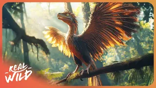 2 Hours Of Uncovering Dinosaur Discoveries