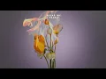 Polar Inc. - Pearly