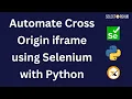 How to Automate Cross Origin iframe using Selenium with Python