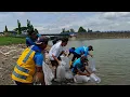 RILIS JUTAAN BIBIT IKAN TOMBRO DI BENDUNGAN KEDUNGBRUBUS