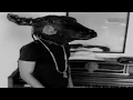 Shakey Graves - Roll the Bones