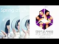 Perfume, Fedde Le Grand, Ida Corr - Spring of Life vs. Let Me Think About It (DJ Nam Mashup)