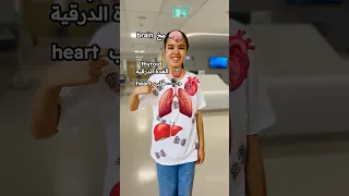 ماذا يوجد داخل أجسامنا تعلم مفردات جديدة باللغه الانجليزية مع شيراز Learn The Vocabulary 