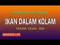 Download Lagu IKAN DALAM KOLAM KARAOKE - GAMBUS