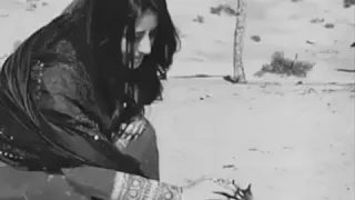 الفنان عوض المالكي 