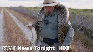The Bounty Hunters Catching Pythons In Florida HBO
