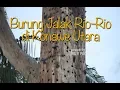 Download Lagu Sarang Burung Jalak Rio Rio di Konawe Utara
