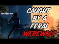 Download Lagu Caught By A Feral Werewolf -- M4A |Boyfriend ASMR |Captured | Bargains | Deep Growls | Little Rabbit