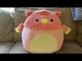 Squishmallow Kellytoy Squishy Soft Plush 16 Inch Abdul The Griffon Review
