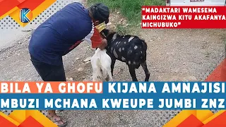 bila ya ghofu kijana wa miaka 19 amnajisi mbuzi mchana kweupe jumbi zanzibar