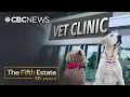 Download Lagu Inside the corporate battle over your pet’s health | The Fifth Estate