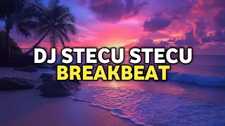 dj stecu stecu breakbeat super exc donny fernanda x sandikawek 
