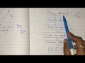 Query Optimisation Advanced Database Management System ADBMS