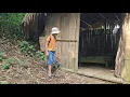 Download Lagu Nickson dagenlang vermist en de verrassing van het vinden van 6 puppy's in een verlaten huis!