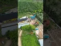 rumah bali yang lagi viral di somel muara bungo #muarabungo #simpangsomel #RUMAHBALI #EMBACANGGEDANG