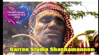 Saadiq Baaroo Haaraya Garree Studio ShaShamannee 2018 