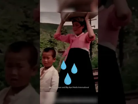 मोटू किम जोंग के North Korea पर अत्याचार | How North Koreans Survive Kim Jong's Atrocities | #shorts