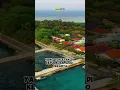 Download Lagu Fakta Unik Lagu Rayuan Pulau Kelapa #fakta #calonsarjana #faktamenarik