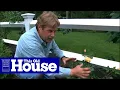 How To Choose And Plant Climbing Roses This Old House