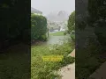 Hurricane Ian Update Venice Fl
