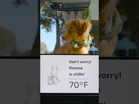 Pet Mode keeps your dog chillin’