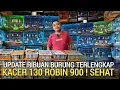 Lagu PASAR BURUNG ! OBRAL FUL KACER JANTAN 130 ROBIN 900 KEPODANG 100 PASAR BURUNG PRAMUKA HARI INI 