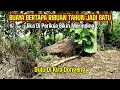 Download Lagu Inilah Sosok Buaya Bertapa Ribuan Tahun Menjadi Batu Di Gunung Tunggorono Jombang