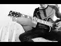 Delfino - Sekta Core   Guitarra Cover