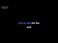 christophe | succès fou | lyrics | paroles | letra |