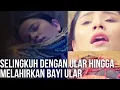 Download Lagu Wanita ini selingkuh dengan ular phiton ketika suaminya pergi bekerja