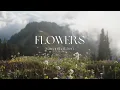 Samantha Ebert  - Flowers (Official Lyric Video)