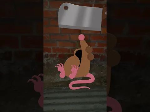 rat sale rat sale rat sale