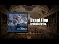 Download Lagu 블루 아카이브 OST - Usagi Flap (오케스트라 버전)